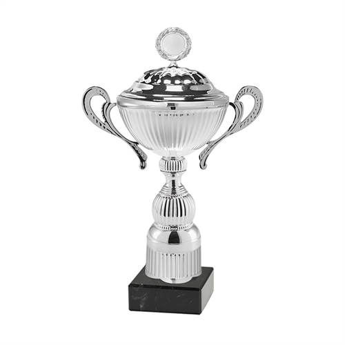 Pokal Chicago silver